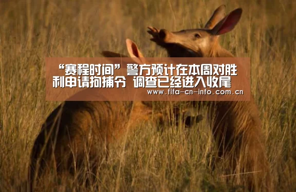 新闻快讯