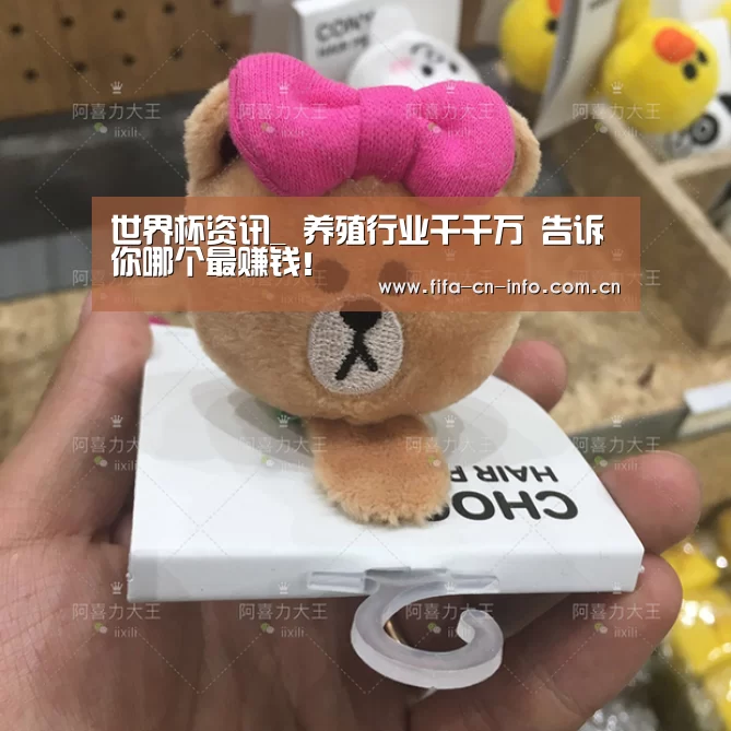 球队资料