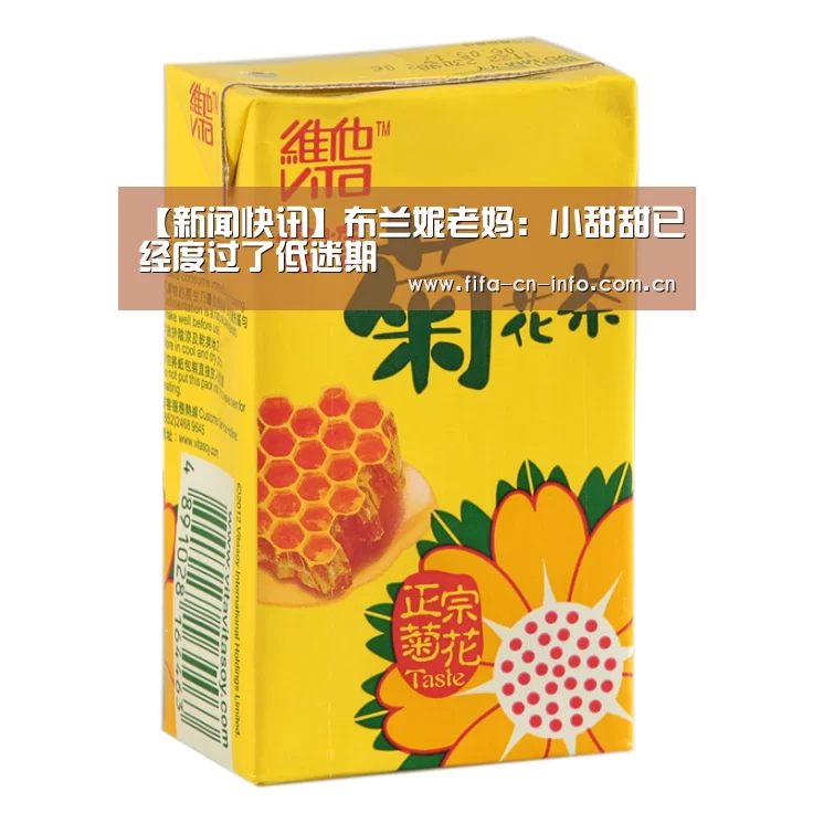 球队资料