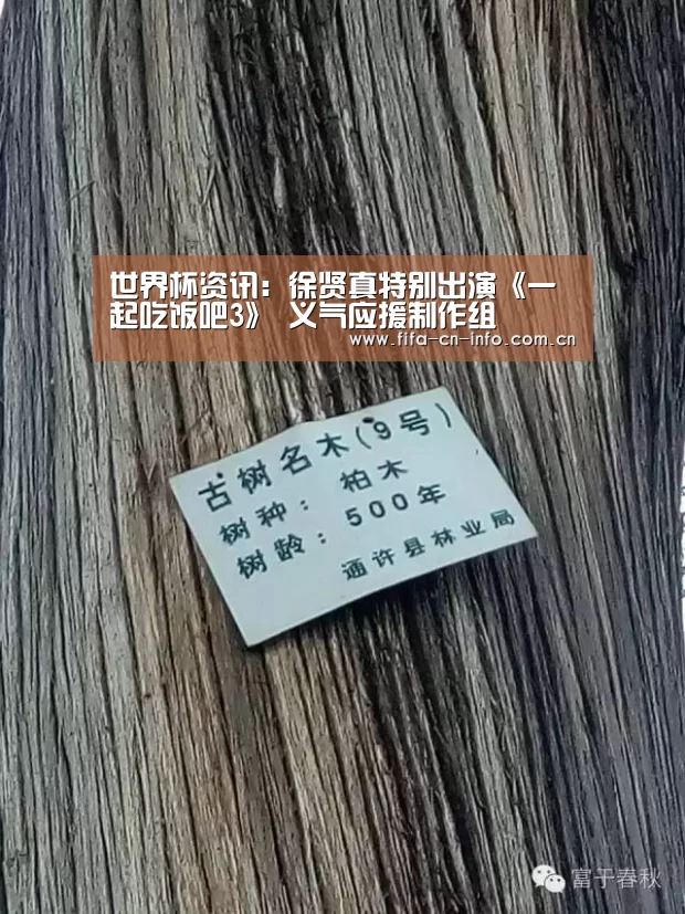 世界杯资讯