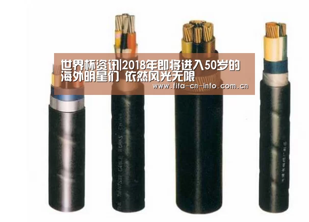 世界杯资讯|2018年即将进入50岁的海外明星们 依然风光无限(图2) 赛程时间