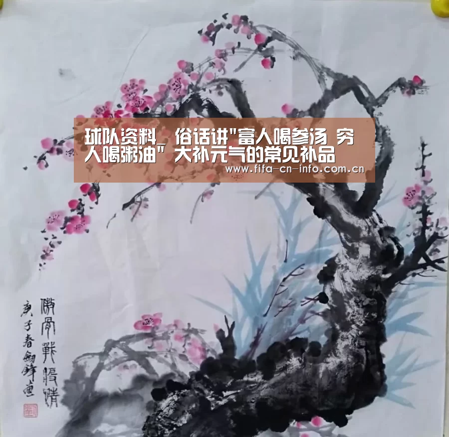 球队资料_
俗话讲富人喝参汤 穷人喝粥油 大补元气的常见补品(图2) 世界杯资讯